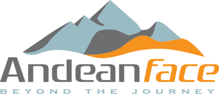 Logo de AndeanFace